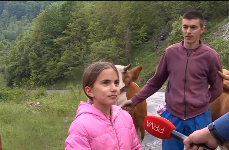 Tijana Babic – Vodi racuna o 4 krave (Video)